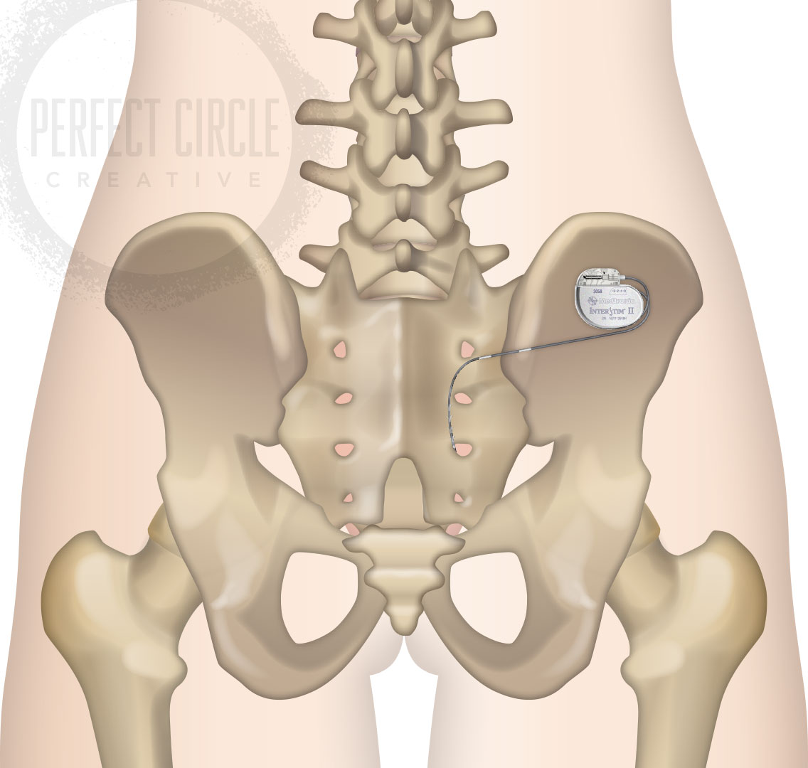 medical illustration | Perfect Circle Creative